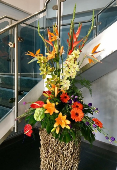 Tropical Pedestal - This 'Fine & Dandy' creation by Emma Dandy of Flowers of Kidderminster, incorporates Heliconium, Strelitzia, purple Eustoma and lime Santini.

A stunning pedestal arrangement with the 'Wow' factor!

 Emma has created the 'Fine & Dandy' collection of arrangement designs for when something truly stunning, beautiful and unique is required!

Created in the shop on Lisle Avenue with the freshest stems, Emma and her team will create this arrangement ready for collection or delivery.

Final arrangement may look different to the image and stems may be substituted when necessary but your arrangement will alway look stunning! The container is subject to availability and may be substituted.

Almost what you're after? We can tailor any bouquet to your needs and budget. Want to incorporate their favourite colours? Do you want to adapt the style to your needs and budget? All colours, styles and budgets can all be catered for.

Arrangements are available for in Kidderminster and the surrounding area. (Charges apply)
