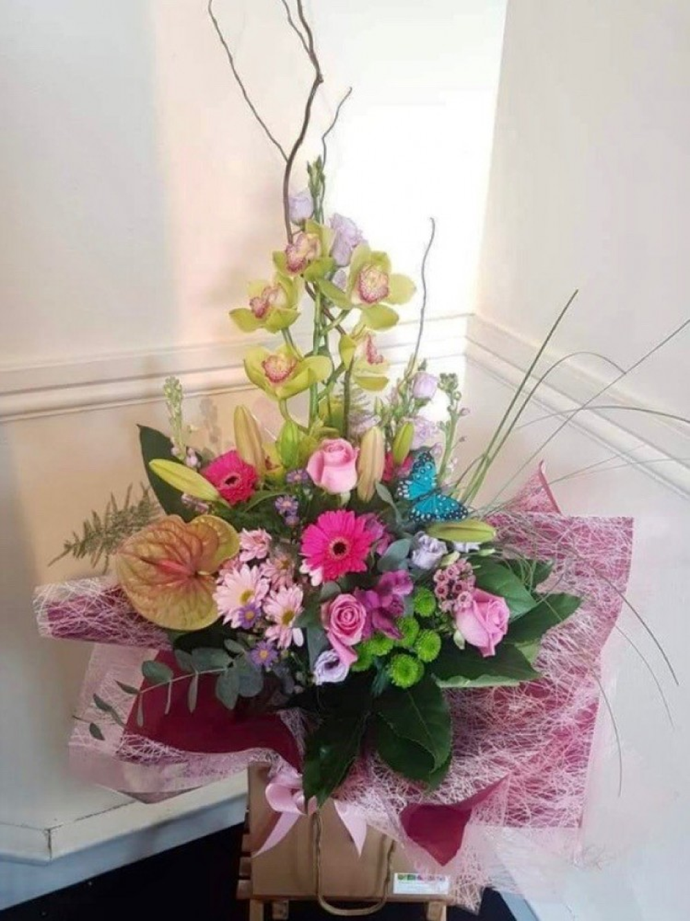 Orchid Delight