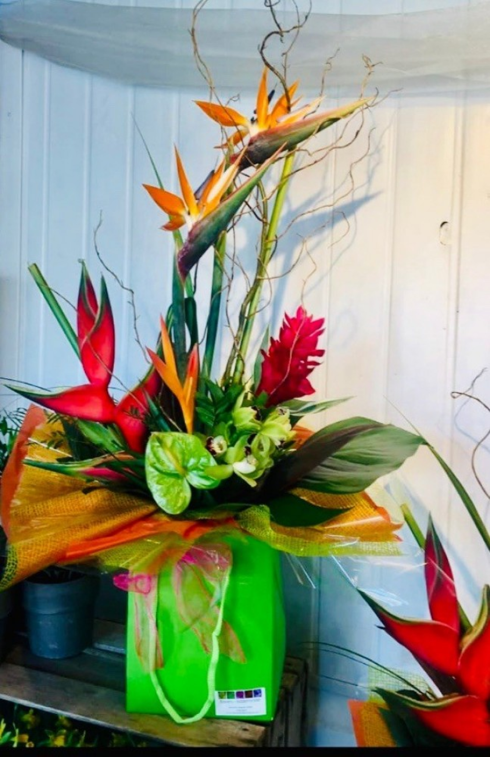 Tropical Delight