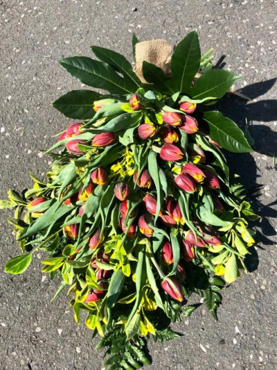 Natural Mixed Tulip Flat Hand Tie - Sympathy flowers are a beautiful way to let someone know that you are thinking of them at a sad time.

This seasonal natural mixed tulip flat hand tie is available each Spring.

Each bouquet is designed and created by professional, qualified, local florists, Emma and her team. The talented florists at Flowers of Kidderminster add a touch of style to every bouquet, which is put together by hand, from scratch.

Almost what you're after? We can tailor any bouquet to your needs and budget. Want to incorporate their favourite colours? Do you want to adapt the style to your needs and budget? All colours, styles and budgets can all be catered for.

All flowers are subject to availability. Substitutes may be used but your bouquet will always look beautiful!

Order by 2pm for same day delivery. Also available to order for a day of your choice.