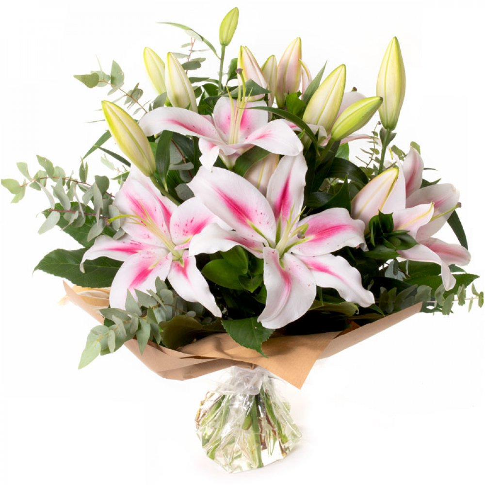 Pink Oriental Lilies