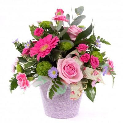 Candy Floss - This little pot of sweetness is a joy to behold. Filled with smiling flowers and a complement of variegated foliage.