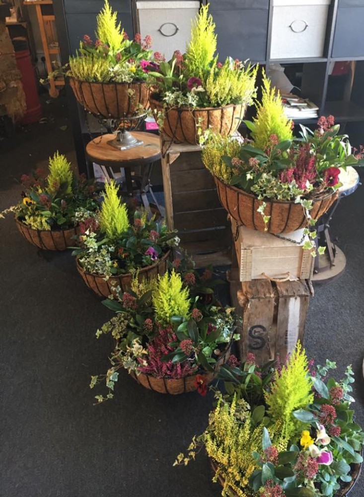 Gallery for Flowers of Kidderminster Order flowers online today